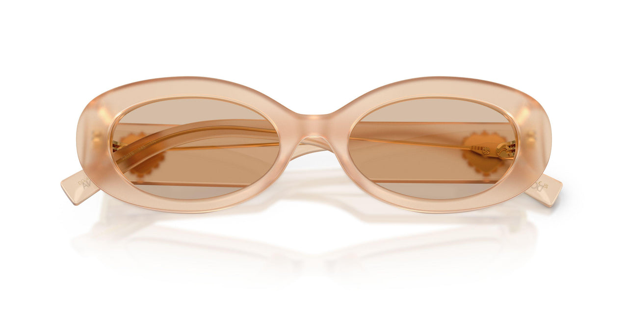 308993 - Brown - Light Brown