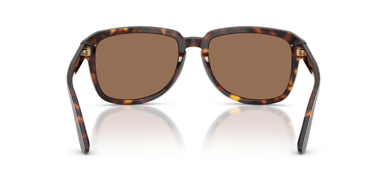502/73 - Tortoise - Dark Brown