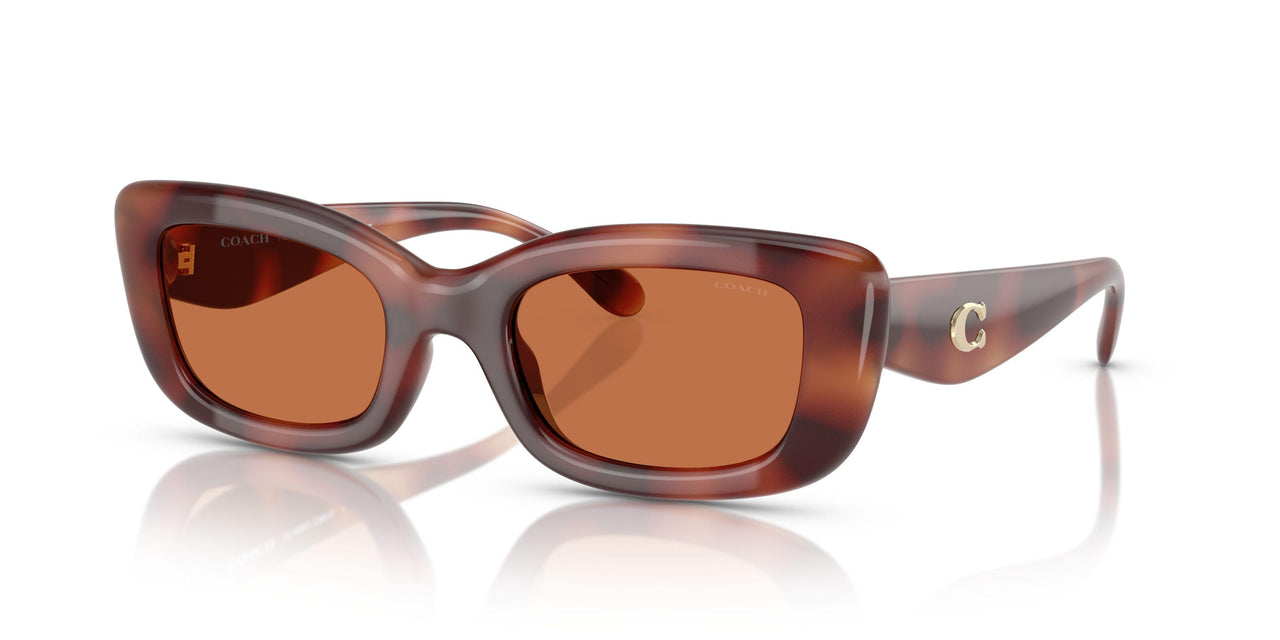 577473 - Tortoise - Brown Solid