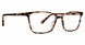 TBL - Tortoise/Blue