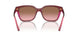 313514 - Purple - Pink Gradient Brown
