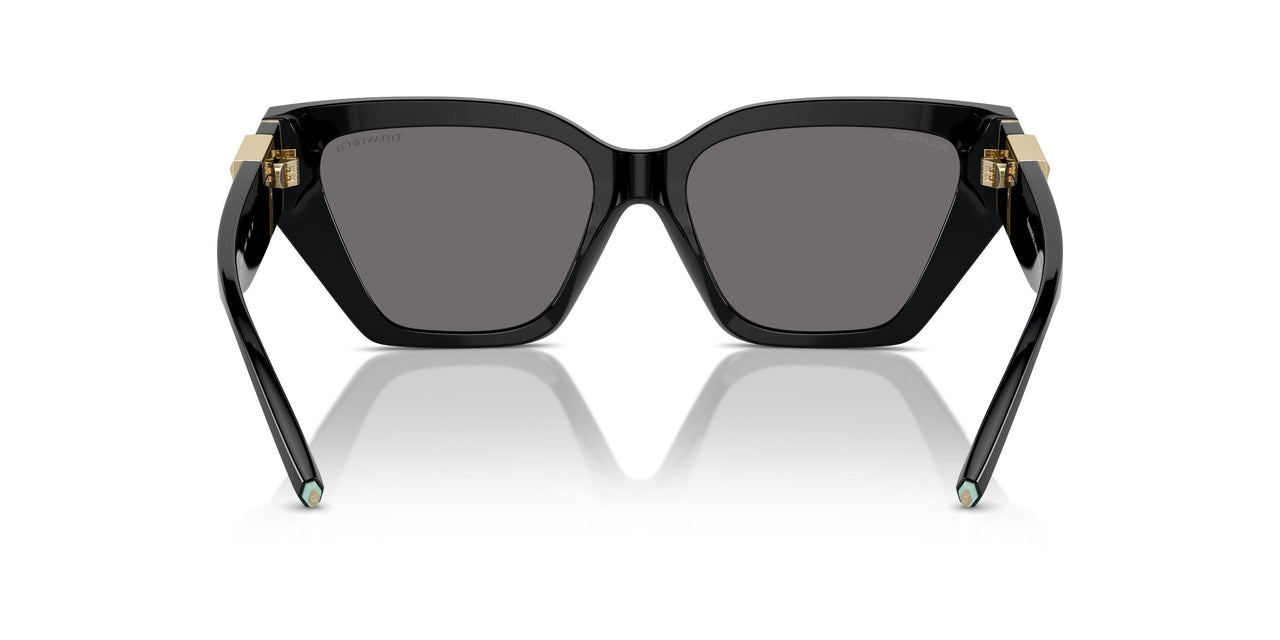800181 - Black - Dark Grey Polarized