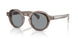 300987 - Grey - Solid Grey