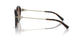 80153B - Tortoise - Brown Gradient