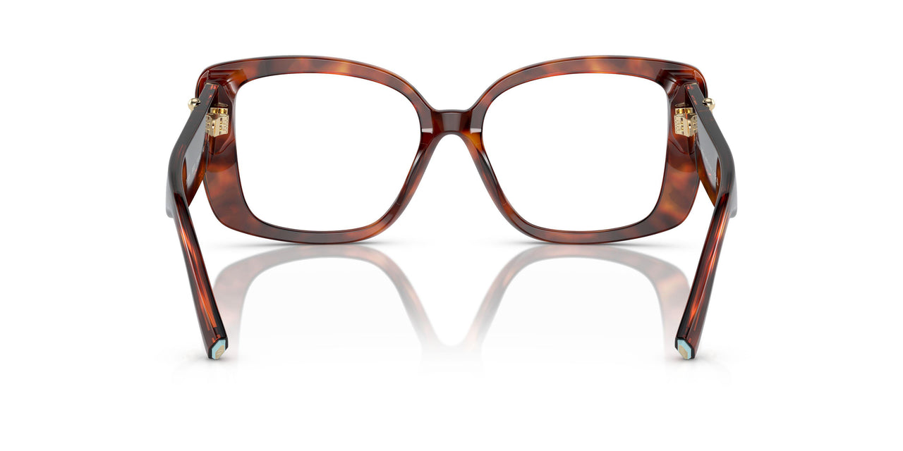 8002 - Tortoise
