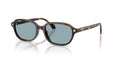 553780 - Brown - Blue