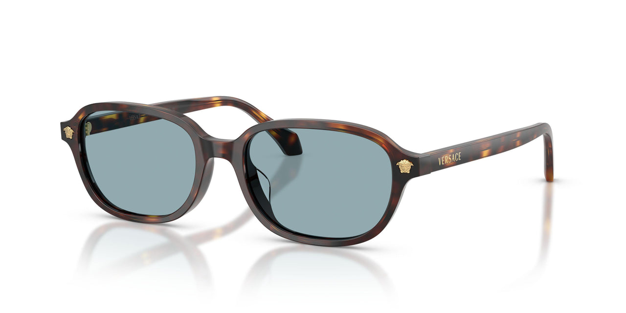 553780 - Brown - Blue