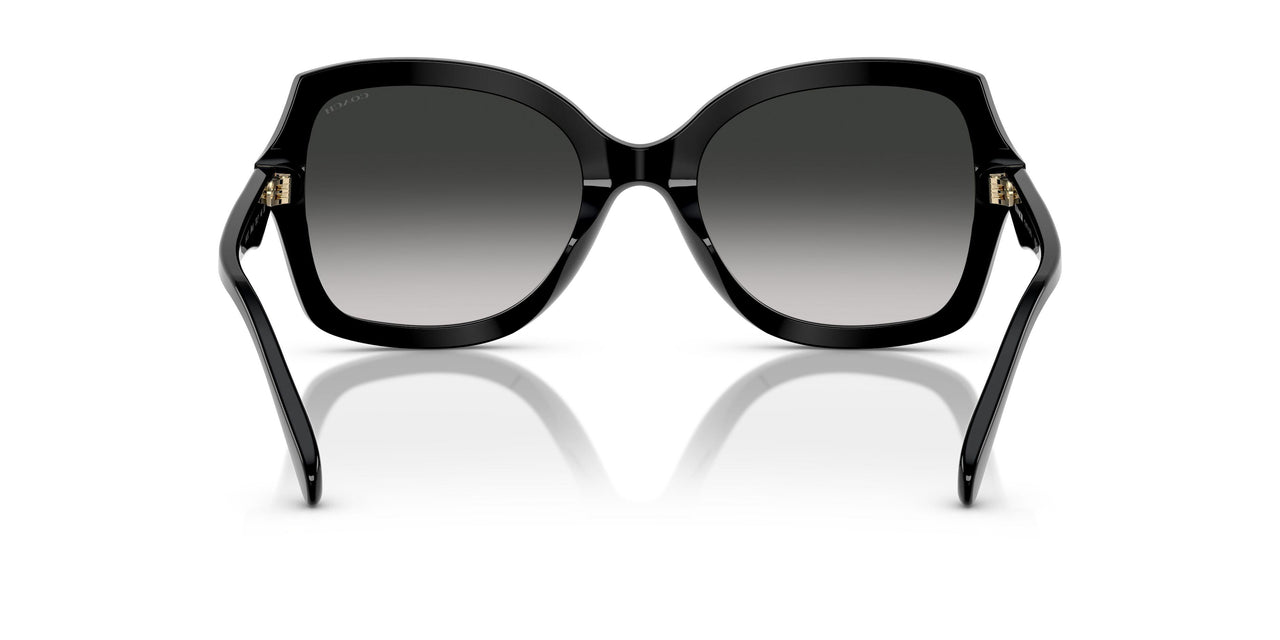50023C - Black - Grey Gradient