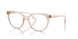 2884 - Brown