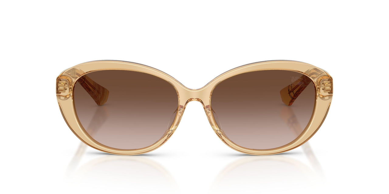 416713 - Yellow - Brown Gradient