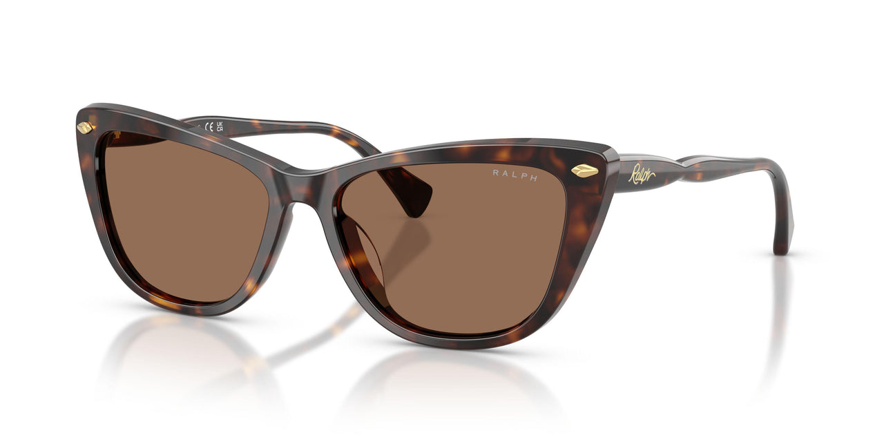 500373 - Tortoise - Brown