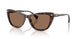 500373 - Tortoise - Brown
