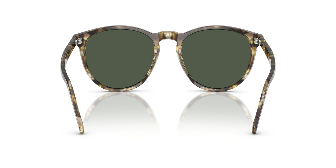 31869A - Tortoise - Dark Green Polar