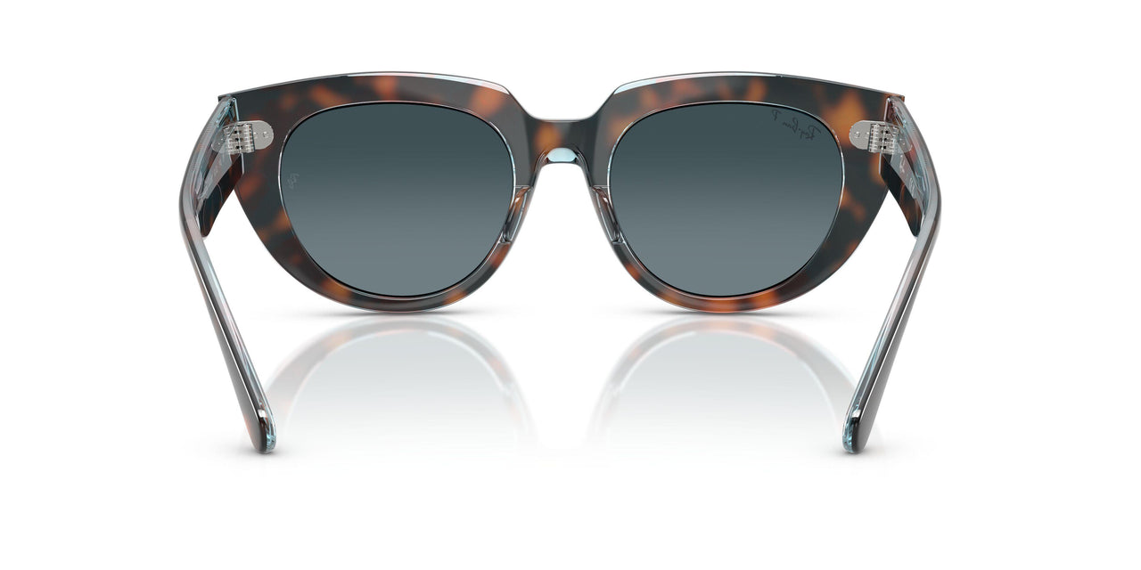 1413S3 - Havana - Blue Gradient Polar