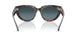 1413S3 - Havana - Blue Gradient Polar