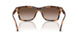 608913 - Tortoise - Gradient Brown