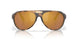 911711 - Tortoise - Gold Mirror