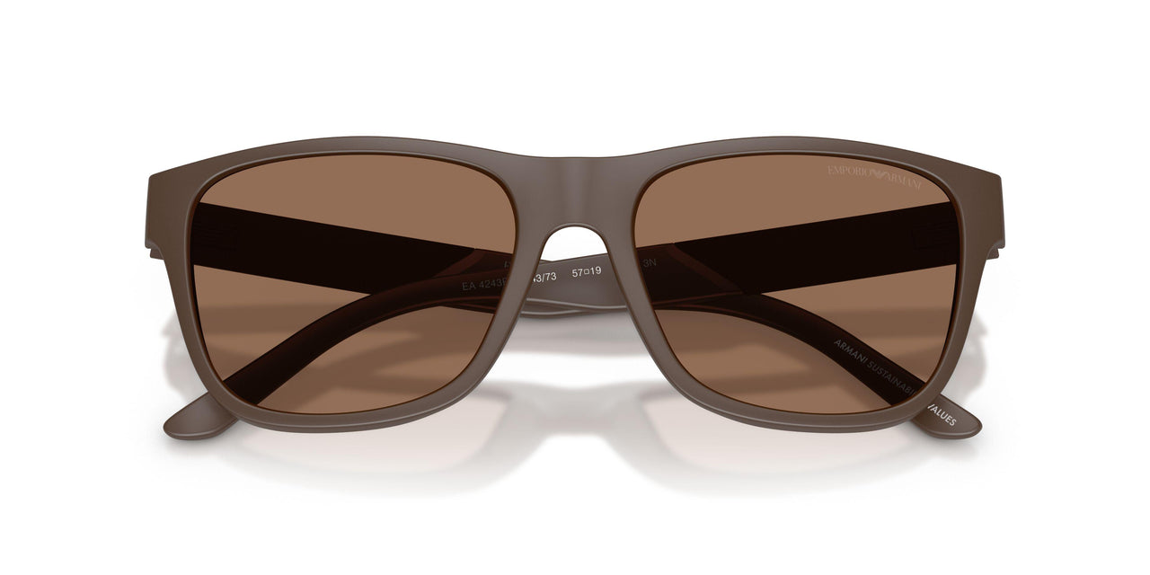 624373 - Brown - Dark Brown