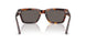 24/B1 - Tortoise - Dark Grey