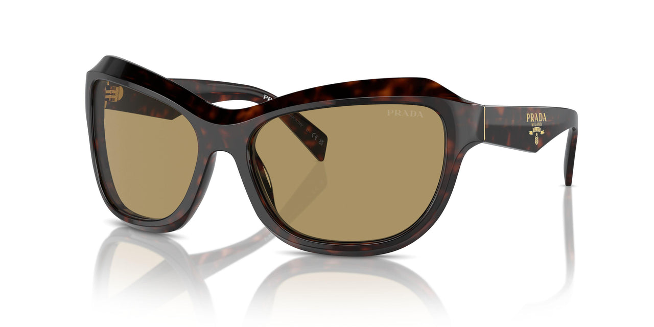 17N70G - Tortoise - Green Olive