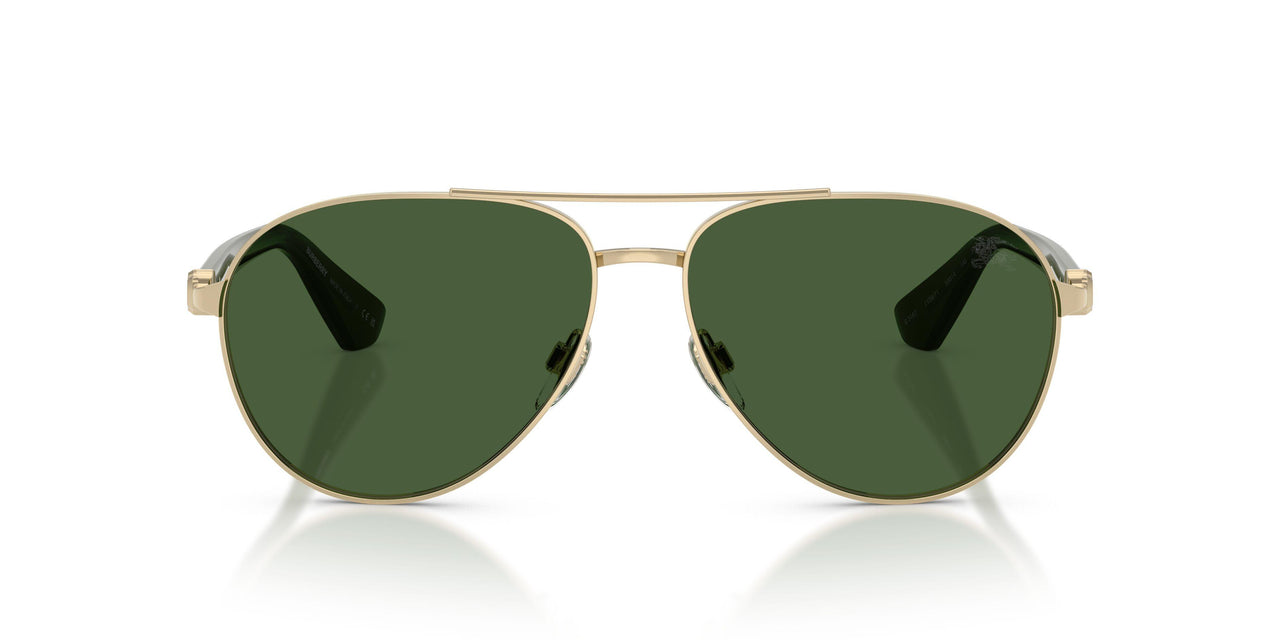 110971 - Gold - Dark Green