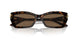 500273 - Tortoise - Dark Brown