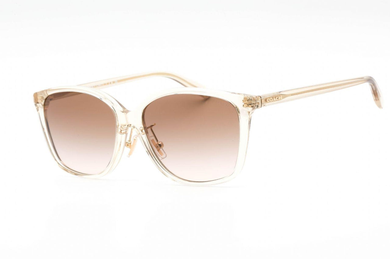 Coach 0HC8361F Sunglasses