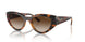 W65613 - Brown - Gradient Brown