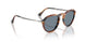123556 - Brown - Light Blue