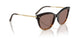 139253 - Brown - Sierra