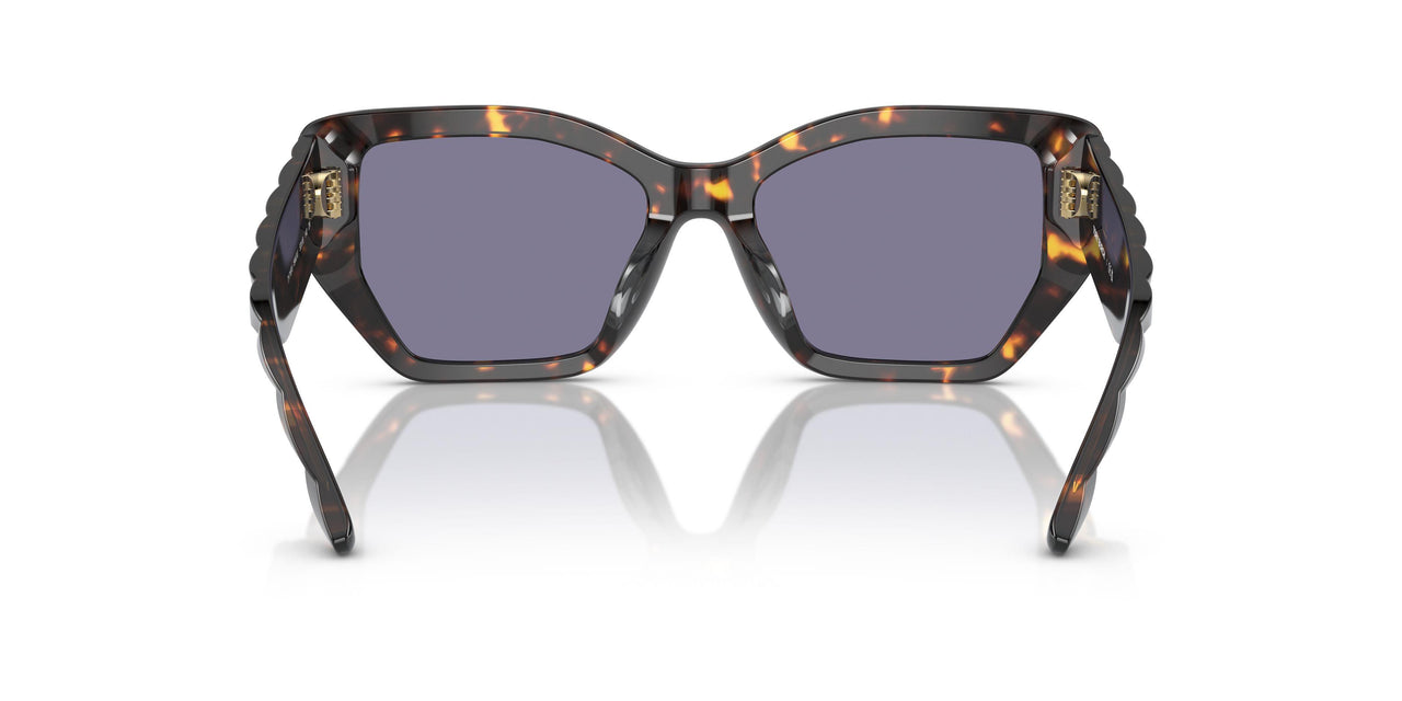 19441U - Tortoise - Dark Blue Violet Mirror