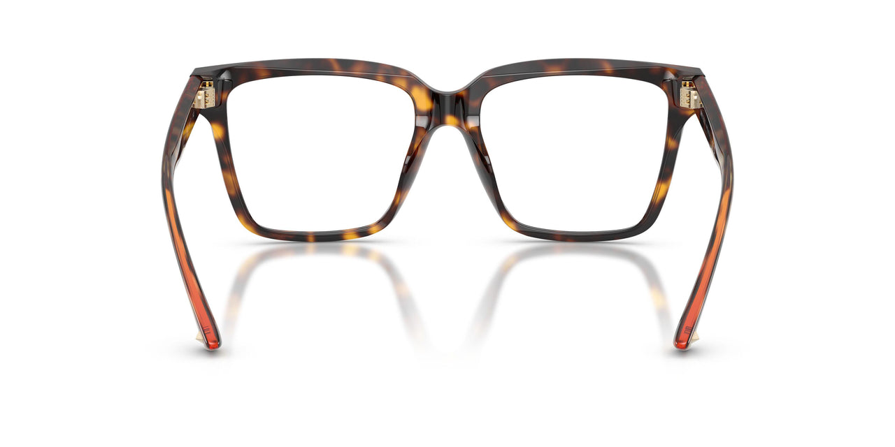 5002 - Tortoise