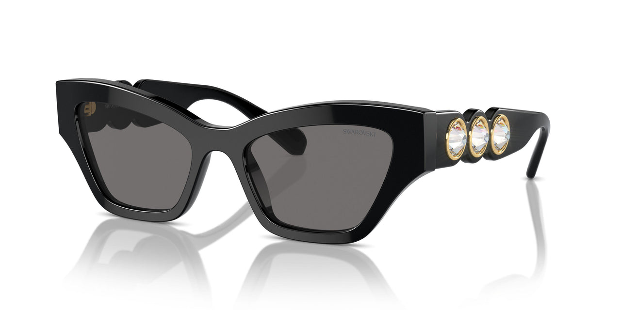 100181 - Black - Dark Grey Polarized