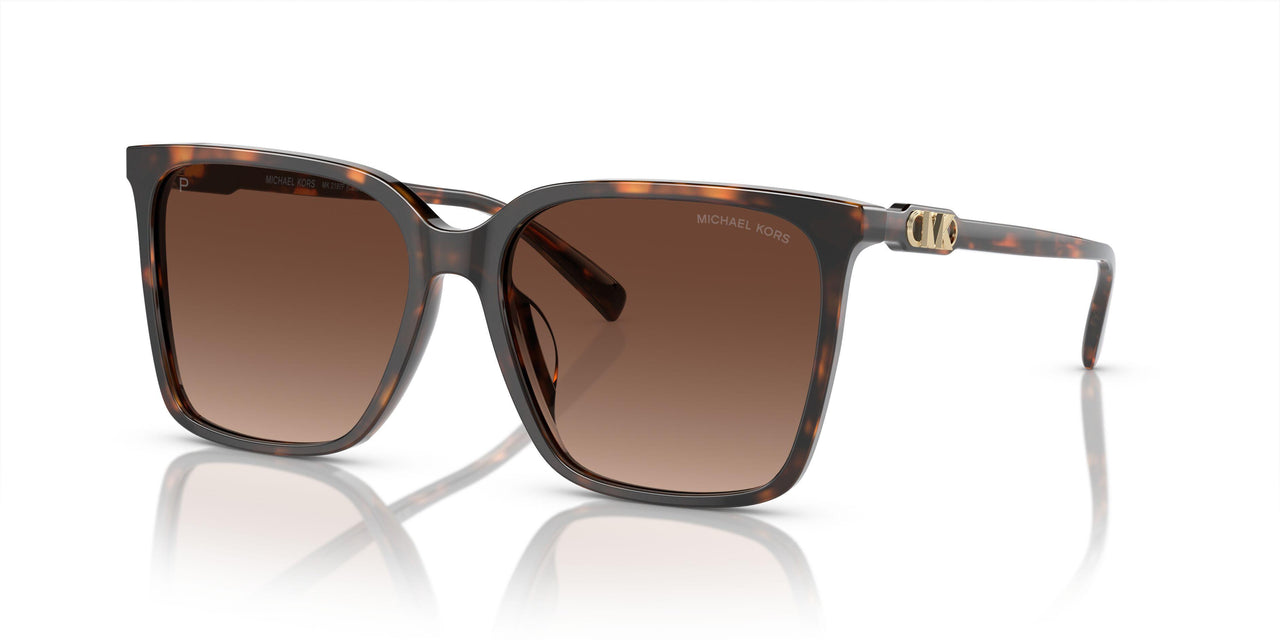 3006T5 - Tortoise - Brown Gradient Polar