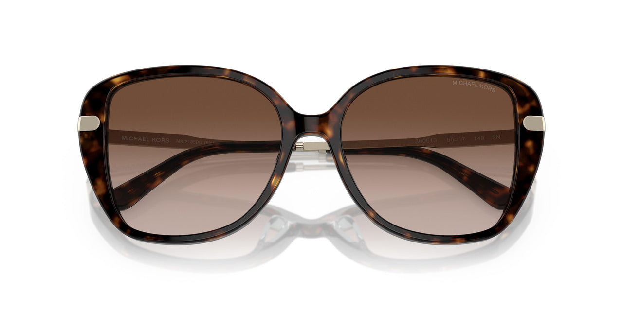 300613 - Tortoise - Brown Gradient