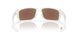 947005 - Transparent - Prizm Sapphire Polarized