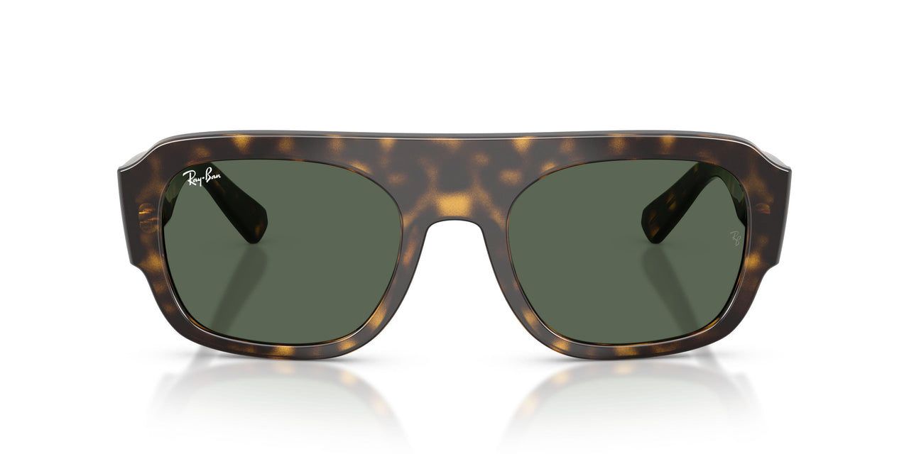 679071 - Tortoise - Green