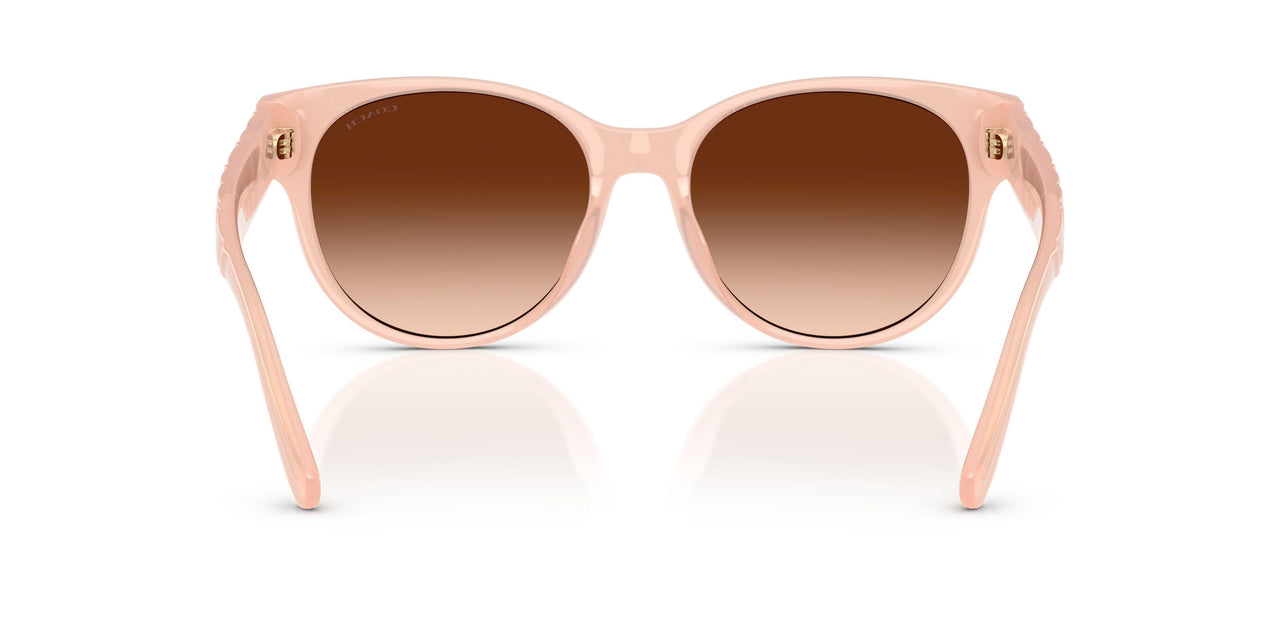 511374 - Pink - Brown Gradient