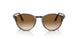 115851 - Havana - Clear Gradient Brown