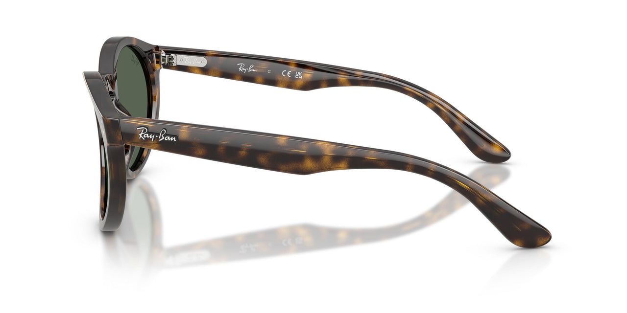 6790VR - Tortoise - Dark Green