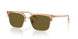 551883 - Brown - Dark Brown