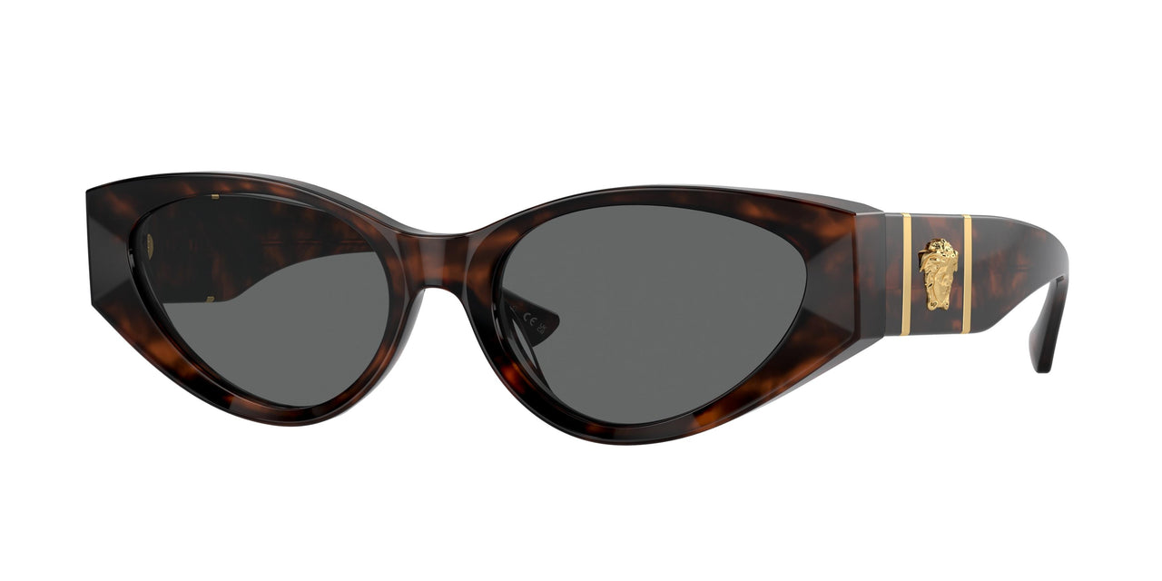 542987 - Tortoise - Dark Grey