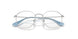 4090 - Silver - Clear