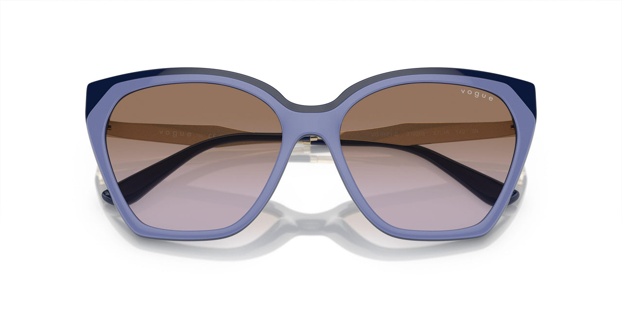 310268 - Violet - Violet Gradient Brown