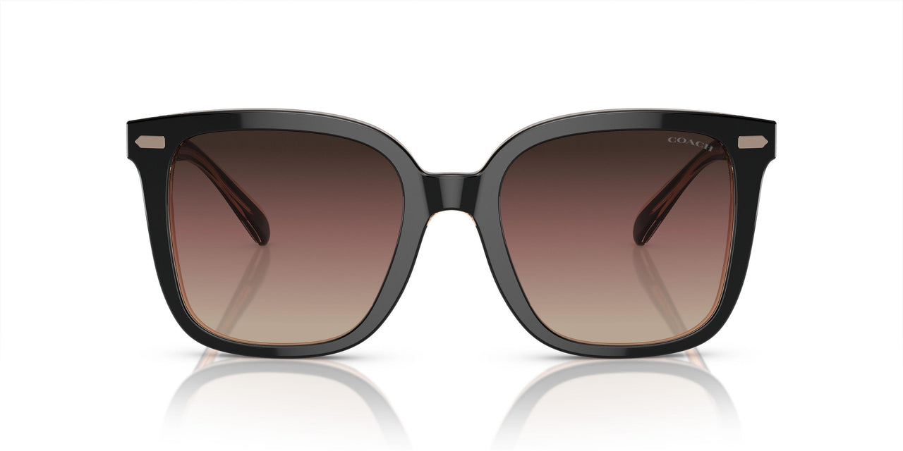 5781E2 - Black - Violet