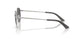 300281 - Silver - Dark Grey Polar