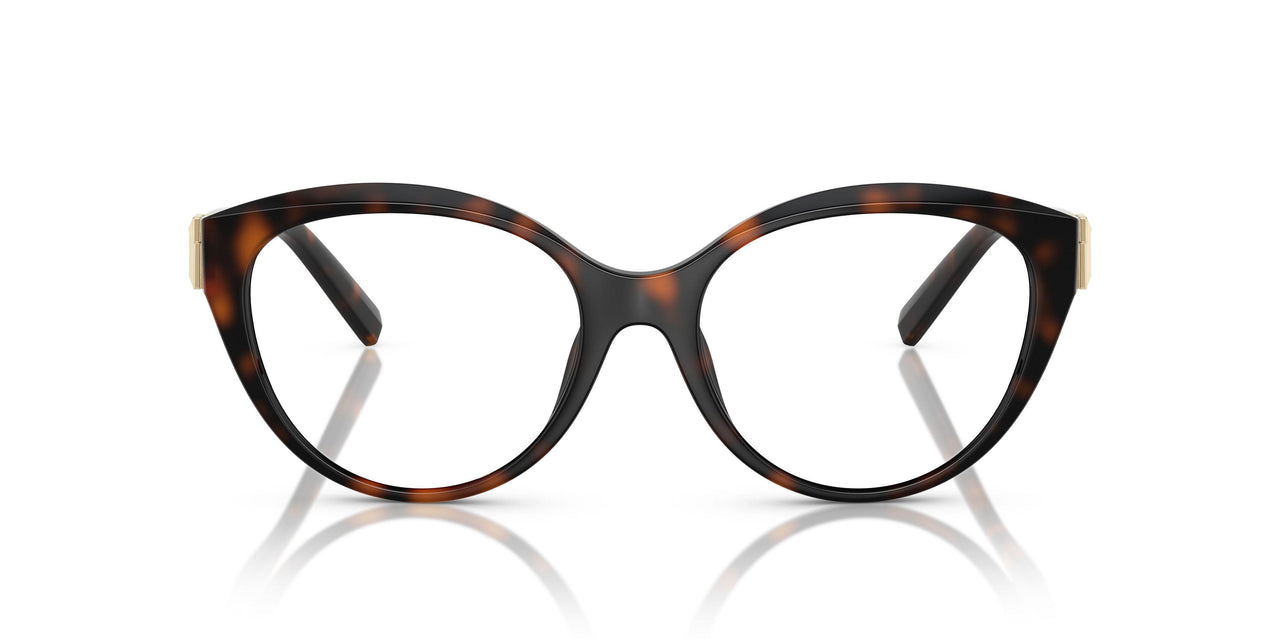 8015 - Tortoise