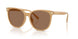 585473 - Brown - Brown Solid