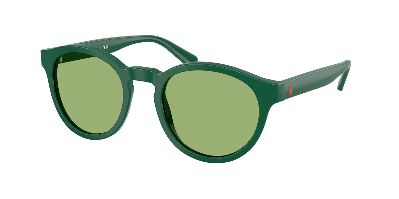 Polo 4192 Sunglasses