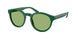 Polo 4192 Sunglasses